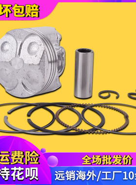 适用YAMAHA 雅马哈 水晶灯250 海豚 大鼓马 大骨马 FZR250 活塞环