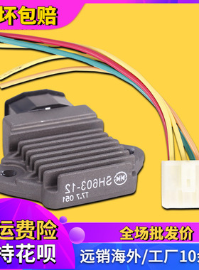 适用于本田CBR250CBR400小黄蜂蓝宝石VTR马格纳整流器充电器插头