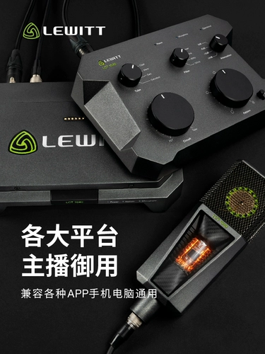 Lewitt/Levit LCT 1040 Микрофон поет в прямом эфире записи записи