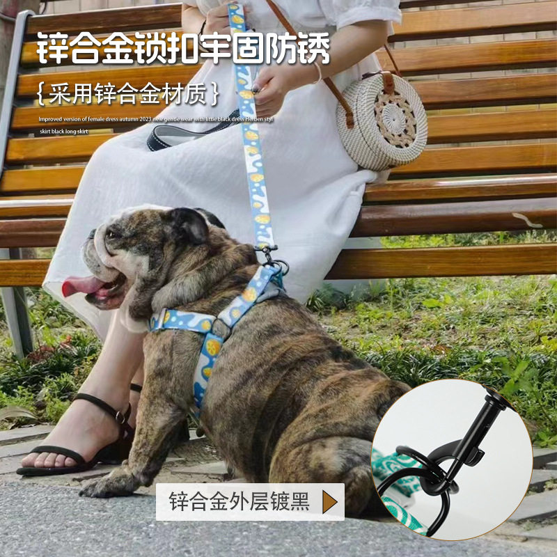 狗狗抱婴袋狗狗牵引绳三件套项圈胸背宠物牵引绳印花狗抱婴袋宠物