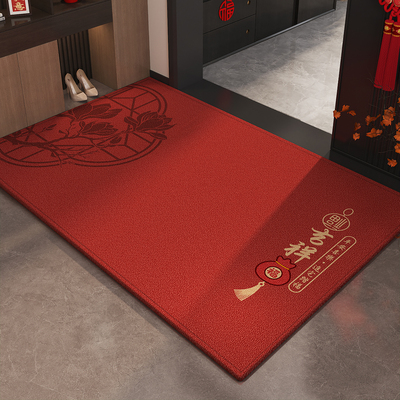 2025新款轻奢高级感入户地垫