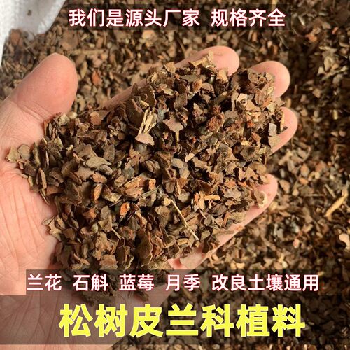 发酵松树皮兰花专用土