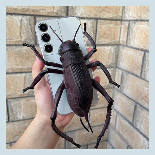 手机壳搞怪丑萌立体超大奇葩抽象减压蟑螂
