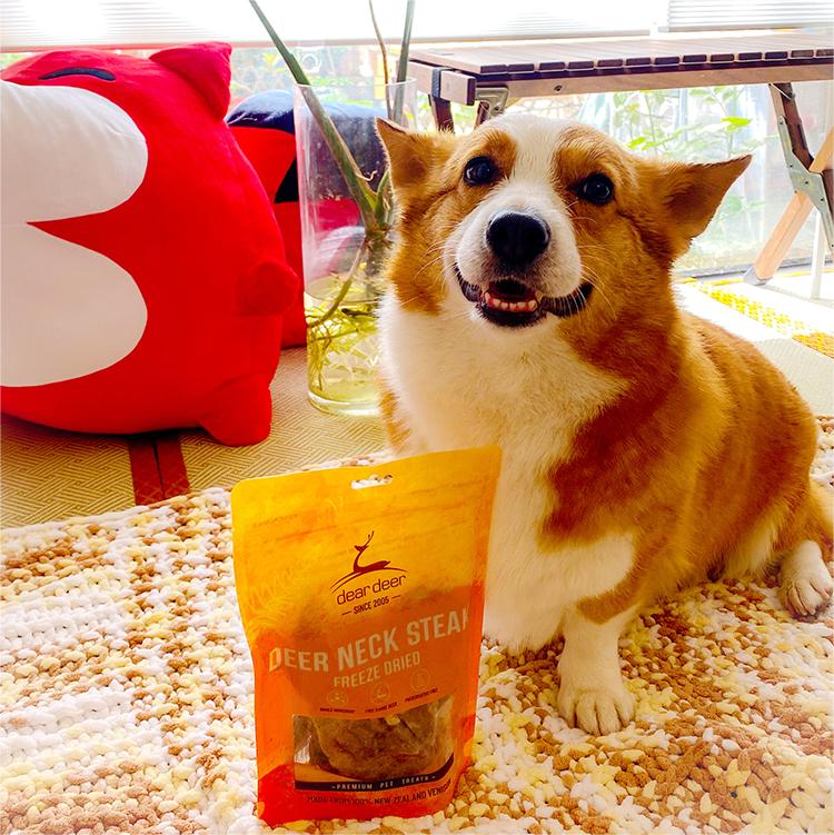 臻鹿鹿颈扒适合狗狗磨牙补充体力