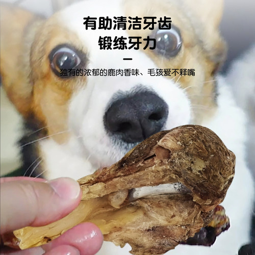【臻鹿】鹿膝盖dear deer新西兰冻干狗零食天然磨牙(犬零食福袋)