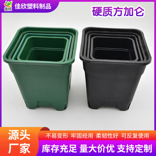 特大号正方形加仑盆透气铁线莲