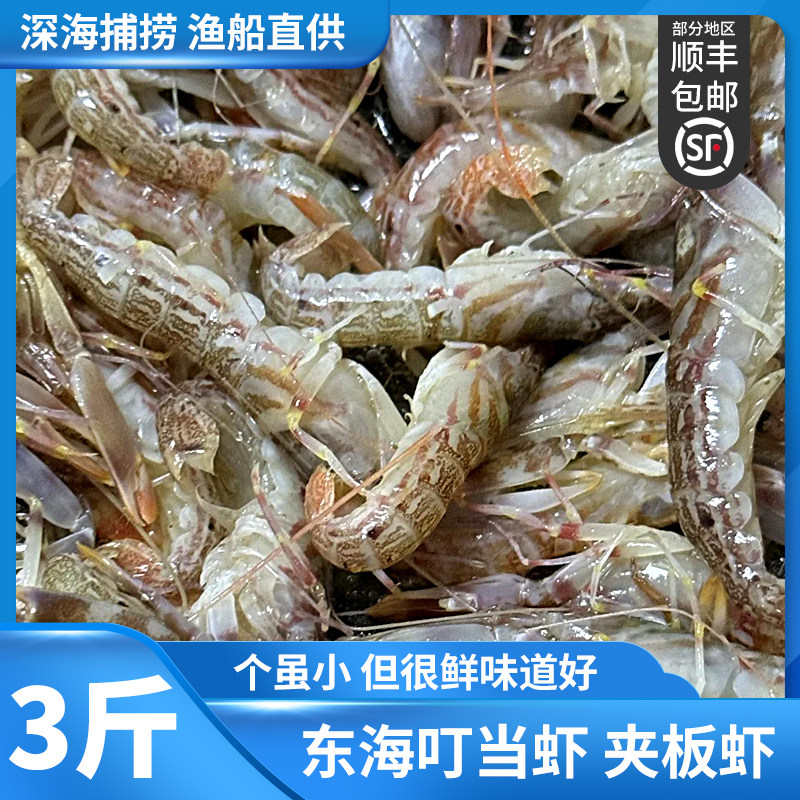海捕叮当虾鲜活冷冻东海新鲜嘎嘣虾夹板虾嘎巴虾大花虾鼓虾狗虾