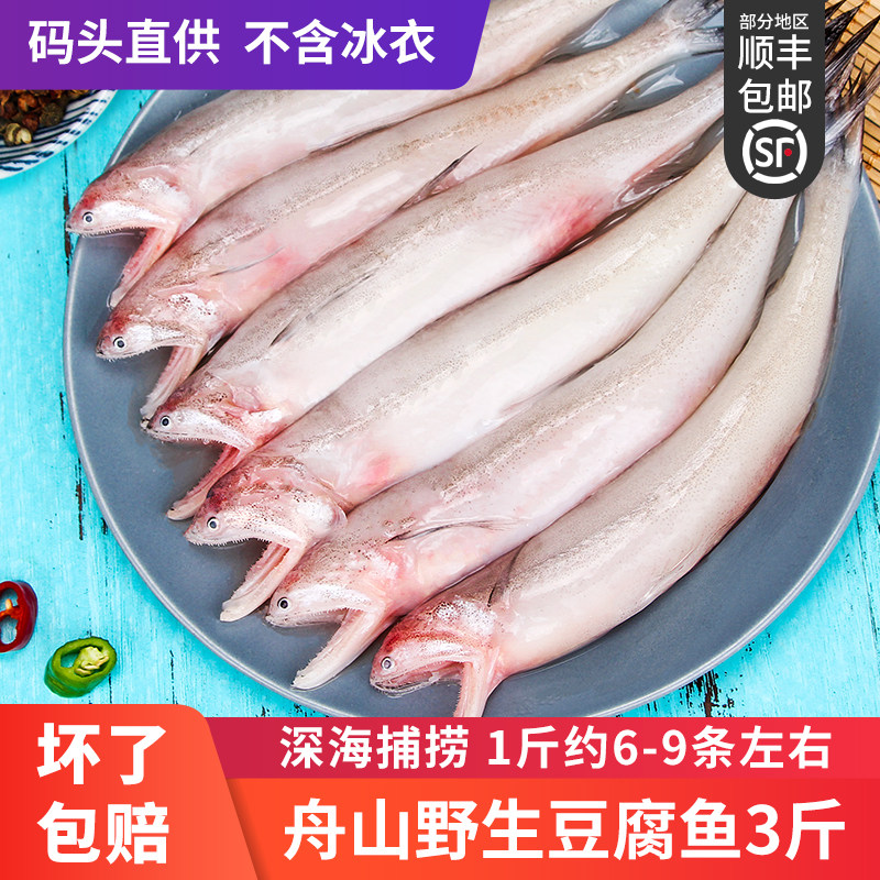 龙头鱼新鲜冷冻豆腐鱼海鲜水潺丝丁鱼舟山水产生鲜食九肚鱼3斤