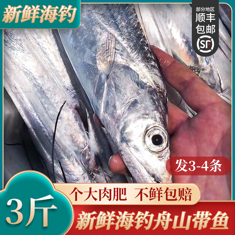 舟山带鱼新鲜速冻油带冷冻特级