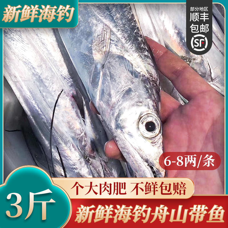 舟山带鱼新鲜速冻油带冷冻特级