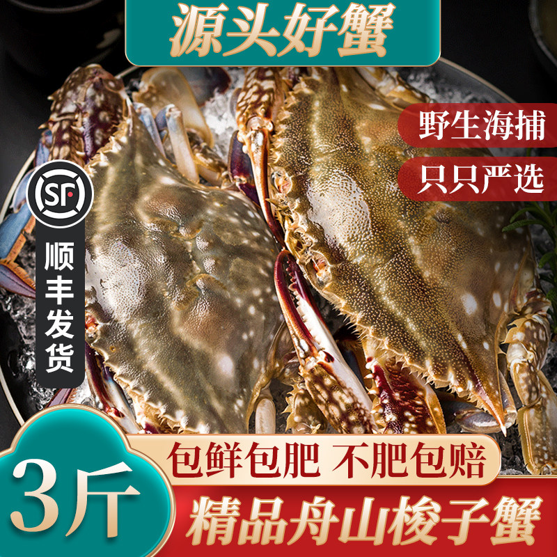 舟山梭子蟹冻蟹新鲜冷冻大螃蟹海鲜水产兰蟹大白蟹飞蟹野生特大花