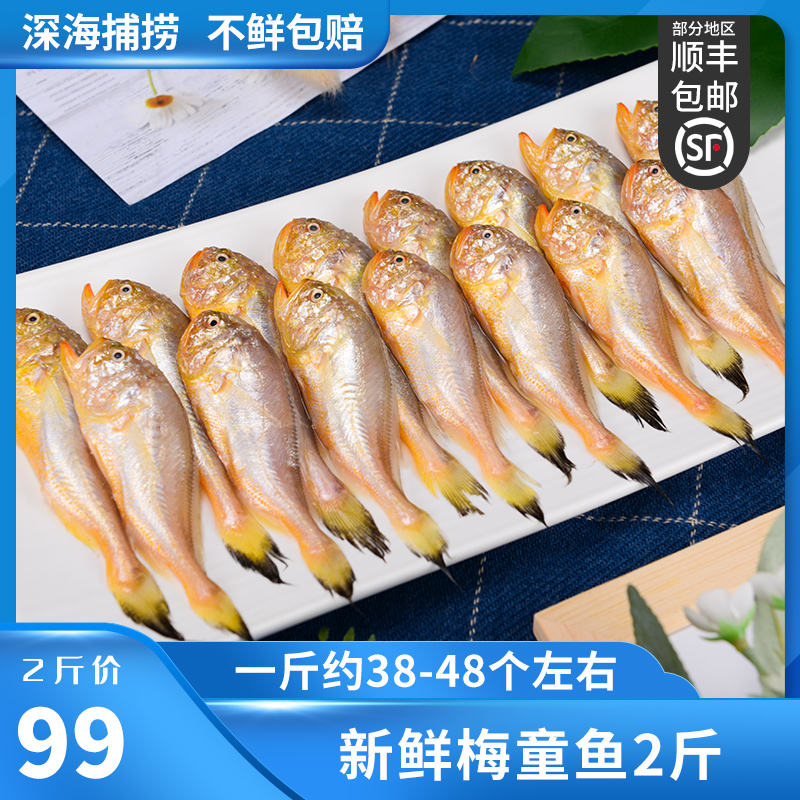 新鲜捕捞梅童鱼冷冻东海舟山小梅子鱼细眼大头梅童鱼2斤装