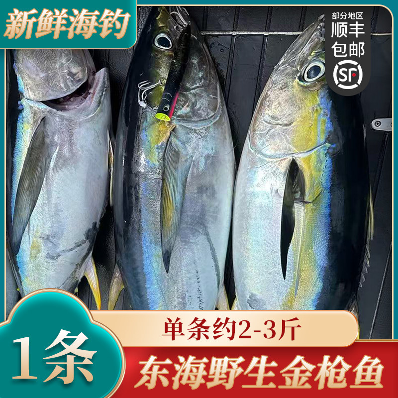 舟山人工海钓鲣鱼深海白纹金枪鱼炮弹鱼冷冻洋光鱼蓝旗 整条2-3斤,水产肉类/新鲜蔬果/熟食,其它,淘宝优惠券,粉丝福利购,淘宝优惠卷