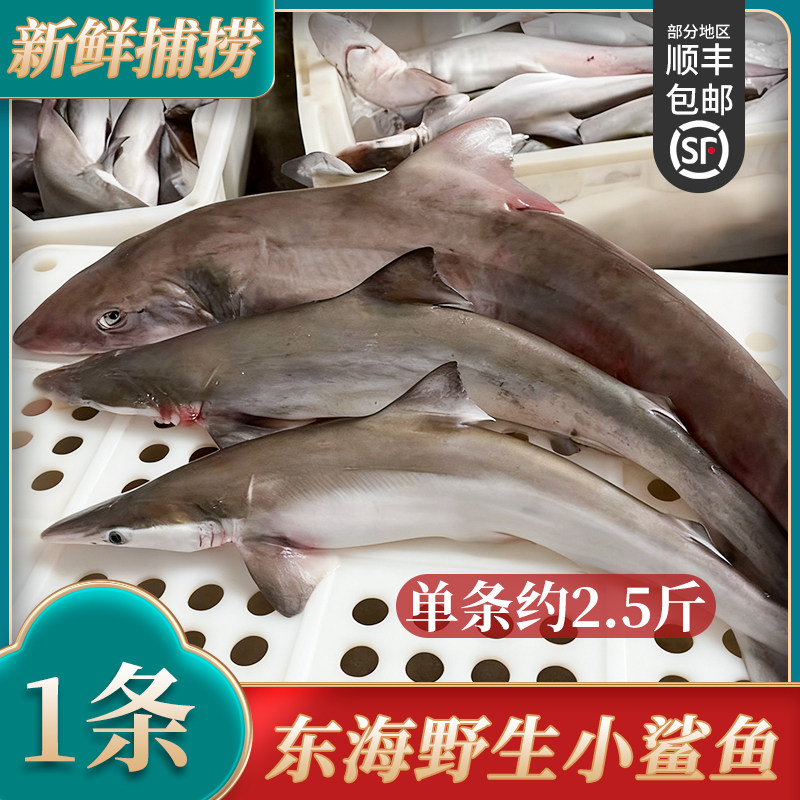 新鲜舟山小鲨鱼深海鱼海鱼非白鲨鱼冷冻海鲜水产鲨鱼肉约2.5斤/条,水产肉类/新鲜蔬果/熟食,其它,淘宝优惠券,粉丝福利购,淘宝优惠卷