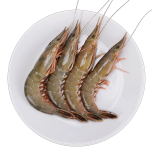 舟山新鲜青壳滑皮虾条虾鲜活速冻野生海鲜活皮虾呛虾 中号 3斤