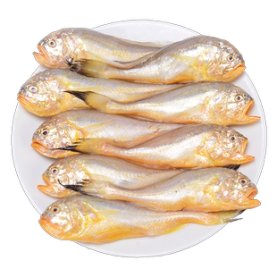 新鲜梅童鱼冷冻 东海舟山小梅子鱼细眼大头梅童鱼约2斤装新鲜捕捞