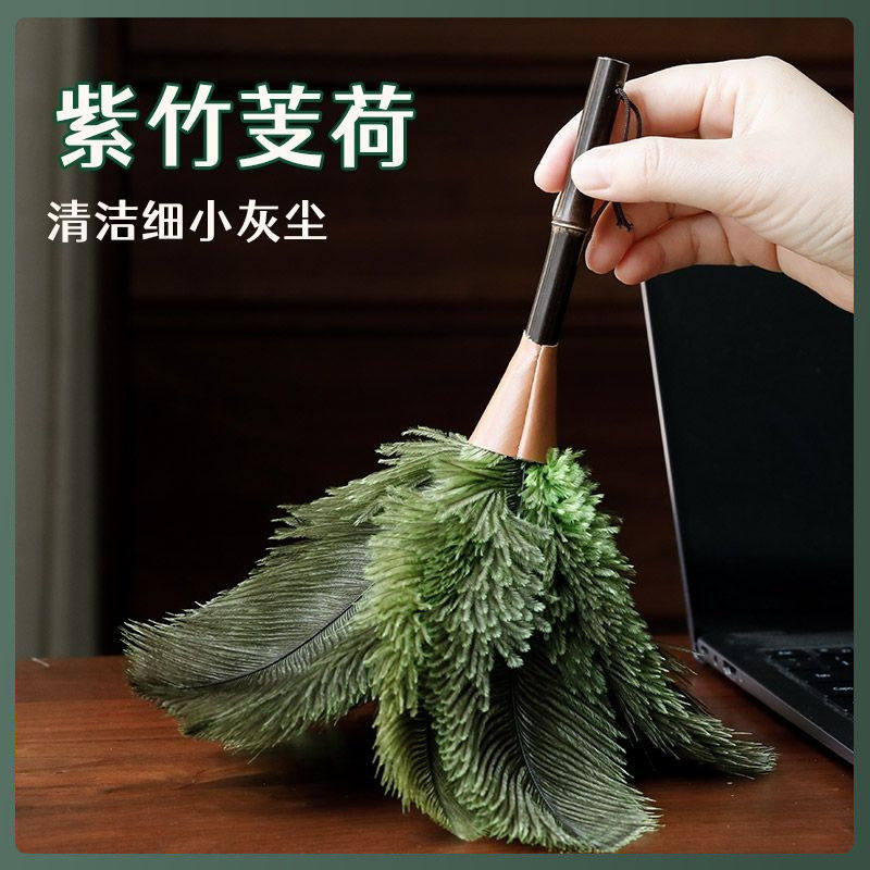 高档抗菌除尘掸家用清洁