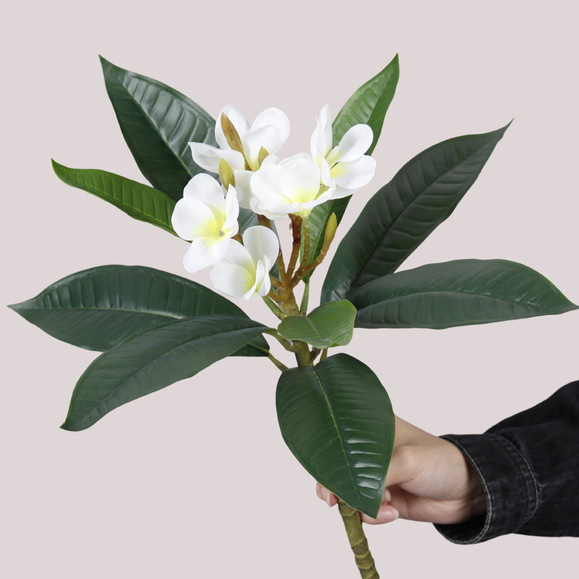 仿真花高质鸡蛋花水仙花