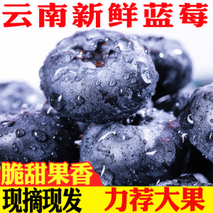 云南蓝莓新鲜果梅盒装当季水果孕妇零食高山蓝莓鲜果整箱包邮现摘