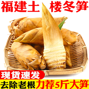 福建冬笋新鲜现挖野生带壳黄泥大冬笋楠毛竹笋春笋尖蔬菜5斤整箱