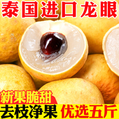 包邮 泰国龙眼桂圆新鲜当季 孕妇进口热带水果现摘脆甜大果现摘5斤