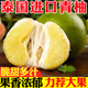 青柚新鲜泰国进口柚子孕妇进口水果热带白糖蜜柚云南整箱大果 包邮
