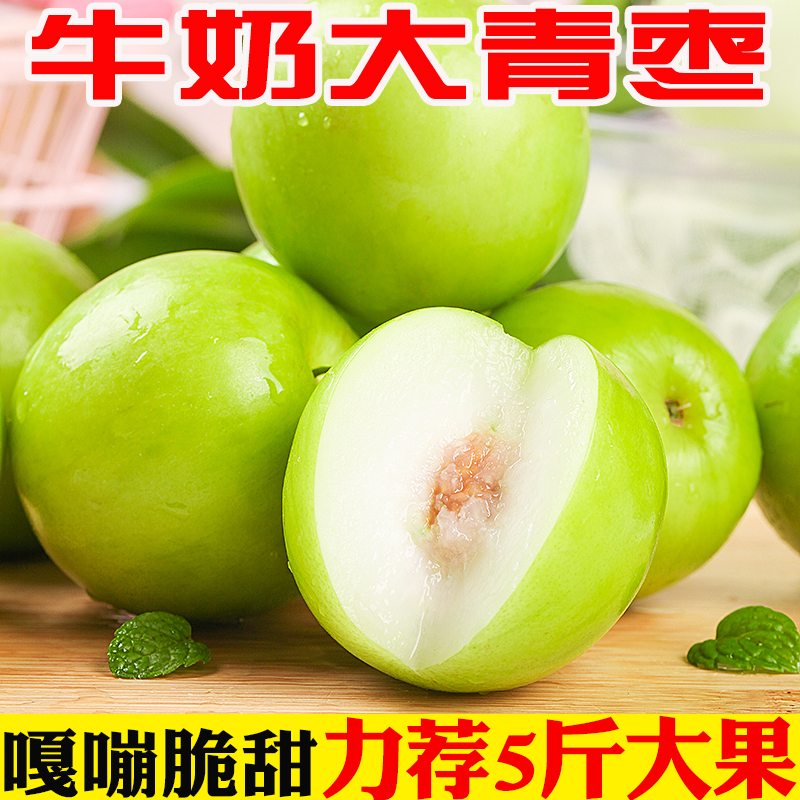 现货云南牛奶枣大青枣台湾贵妃牛奶蜜枣新鲜苹果脆甜冬枣子包邮