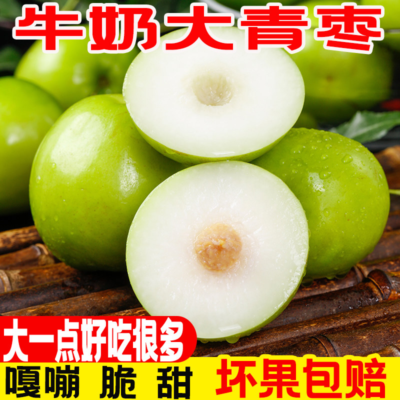 牛奶大青枣大果（6个）脆甜多汁