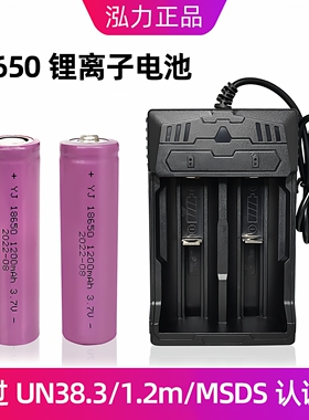 强光手电筒手持小风扇收音机led台灯18650锂离子电池1200mAh泓力