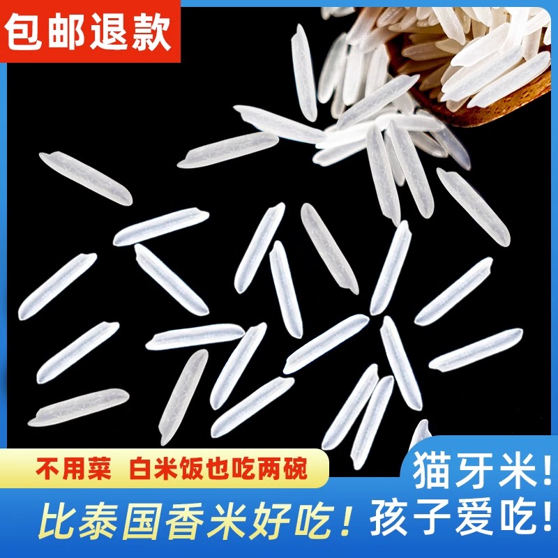 猫牙米猫牙米长粒香米