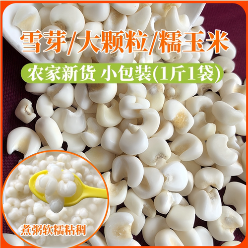 雪芽米广西大颗白糯玉米头粒