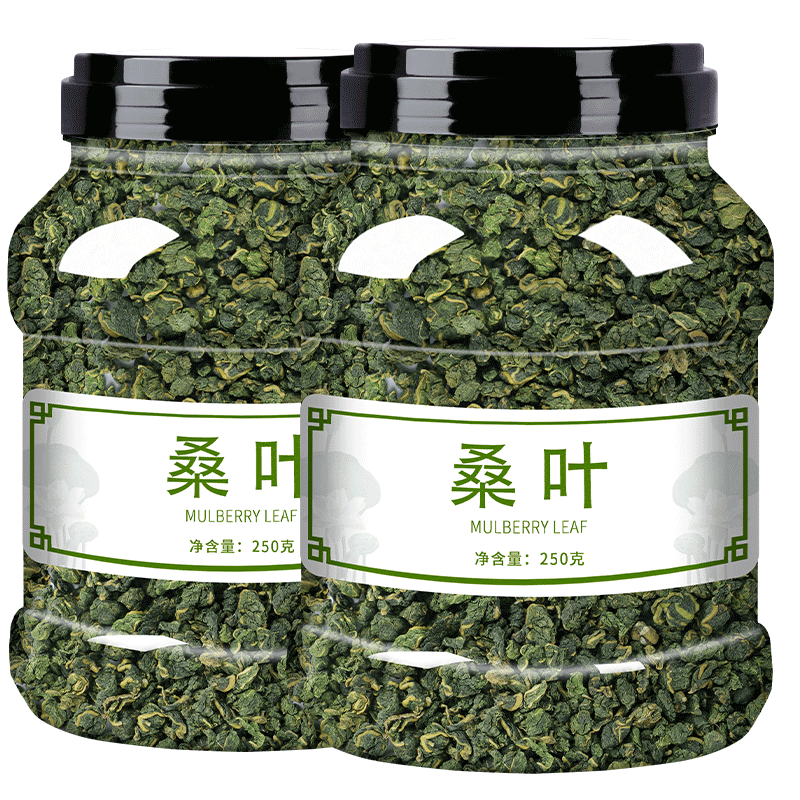 霜后桑叶茶新鲜霜打降血糖养生茶