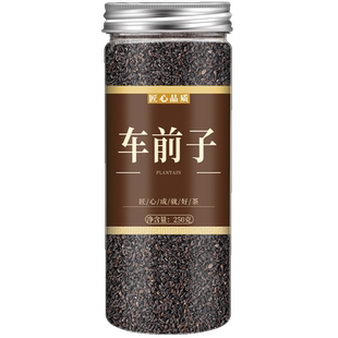 车前子中药500g车前子籽粉泡水茶中药材车前子壳车钱子车前草种子