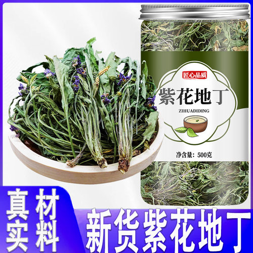 紫花地丁中药材正品新鲜草药