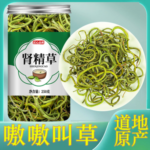 肾精茶东北长白山野生肾经草化石草肾精草黄金草嗷嗷叫石苇韦男性