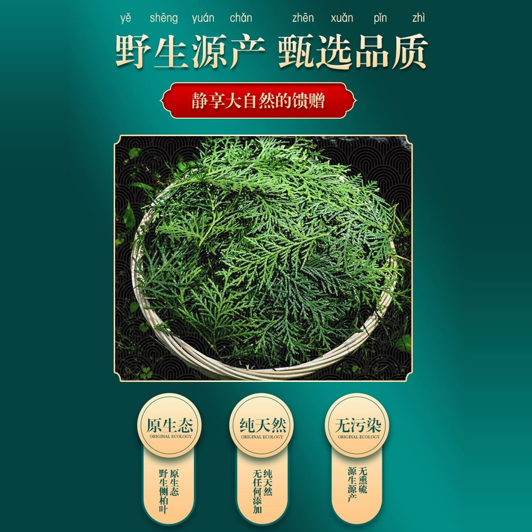 四川高山侧柏叶洗发乌发泡酒熏腊肉香肠原料中药材柏树枝