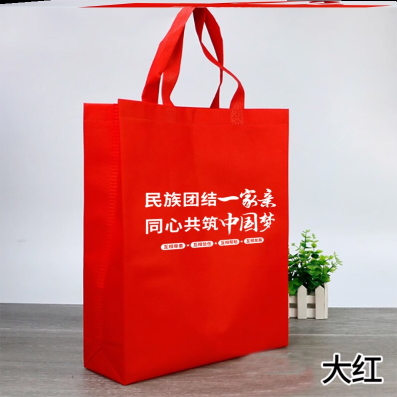 民族宗教委民族团结进步宣传月活动礼品赠品手提袋无纺布袋定制
