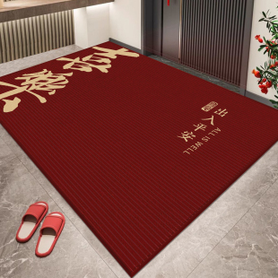 高级感地毯进门门口耐脏防滑脚垫家用玄关入户门垫 入户地垫新款