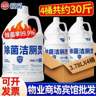 榄菊洁厕灵除菌大桶3.78L精亮马桶清洁剂除除尿碱洁厕液整箱批发