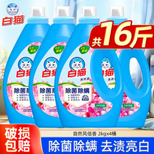 白猫无磷洗衣液除菌除螨去污渍低泡易漂风信香去渍亮白整箱批发