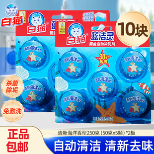 白猫蓝泡泡水箱洁厕宝马桶蓝洁灵厕盆自动冲洗剂耐用厕所马桶除臭