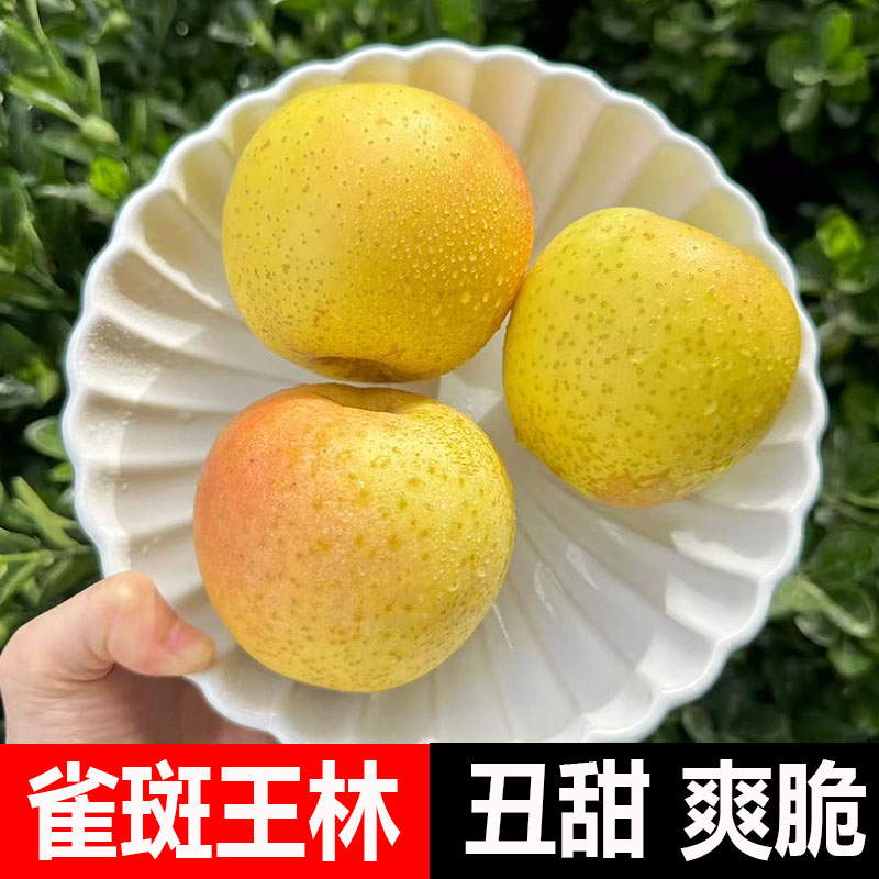 正宗雀斑美人王林苹果新鲜水果当季整箱脆甜山东丑苹果孕妇水果