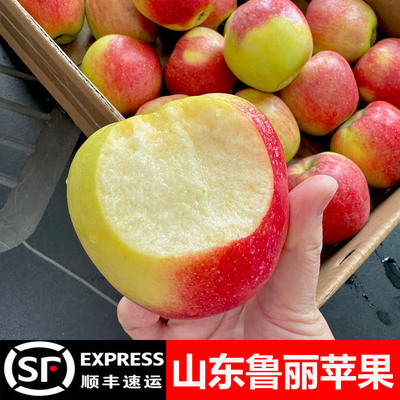 山东鲁丽小苹果新鲜水果当季整箱孕妇水果甜脆丑苹果非烟台富士