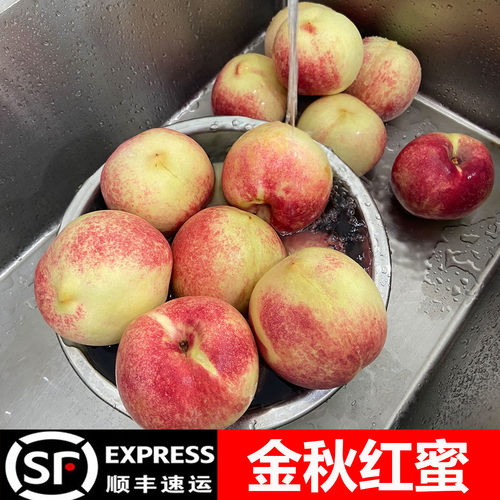 金秋红蜜桃子新鲜水果当季整箱桃子新鲜山东蒙阴蜜桃秋桃孕妇水果