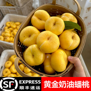 黄金奶油蟠桃新鲜水果当季整箱山东蒙阴蜜桃黄油蟠桃扁桃子新鲜