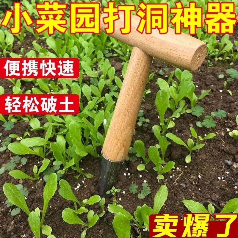 播种移苗追肥神器木柄打洞器育苗播籽器花园多肉种苗打孔器