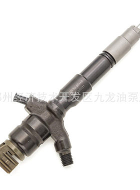 095000-0896 电装 喷油器喷油嘴总成 0950000896