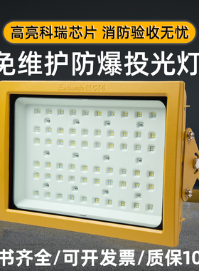 国标led防爆灯ip66隔爆型100w加油站厂房仓库户外投光灯泛光灯