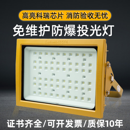 防爆灯ip66100w加油站厂房