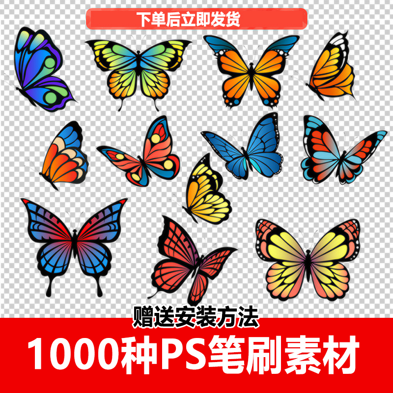 ps笔刷素材 卡通 花卉 蝴蝶 胶卷 图案